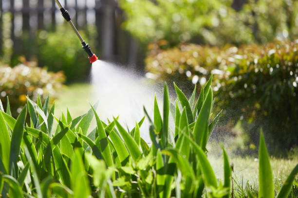 24/7 Emergency Mosquito Control experts in Lockney, TX