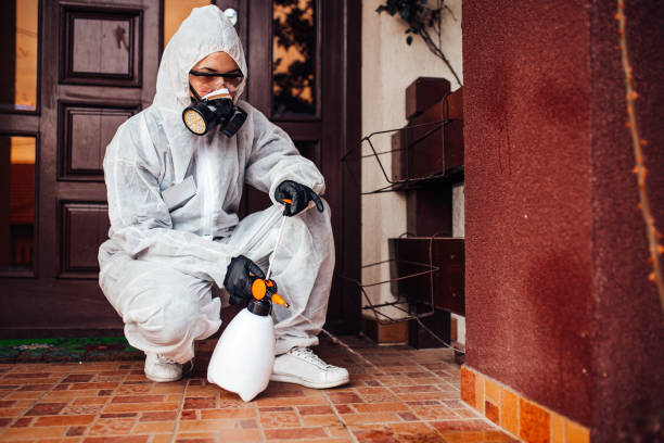 Reliable Mosquito Control contractor in Lockney, TX by Show Me Pest Control